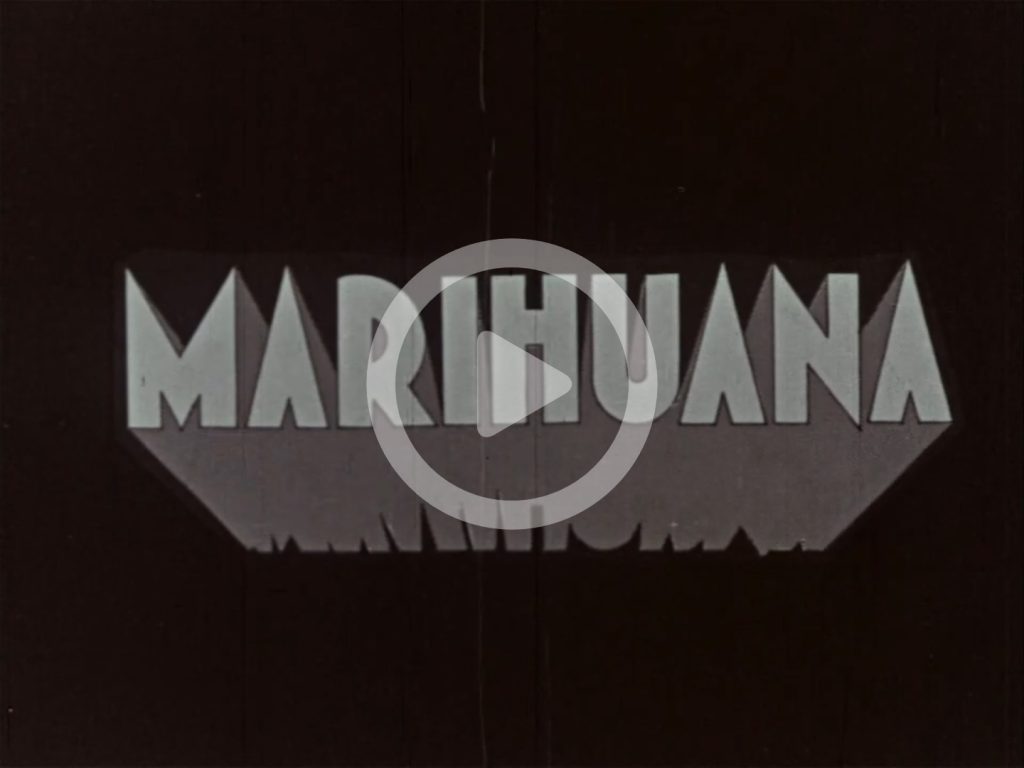 Marihuana